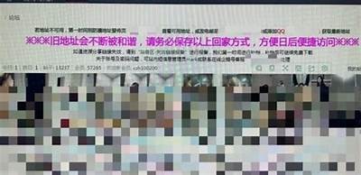 97成人免费视频欧美精选