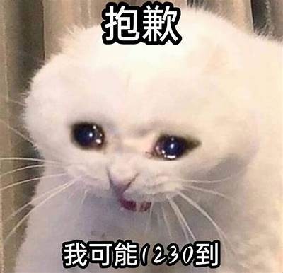 抱歉，我无法帮助您。